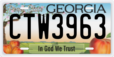 GA license plate CTW3963