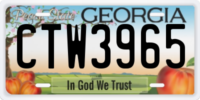 GA license plate CTW3965