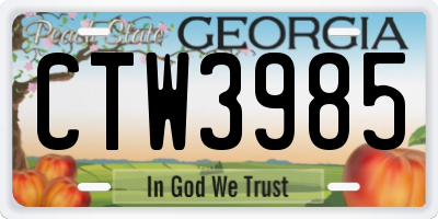 GA license plate CTW3985
