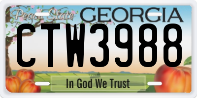 GA license plate CTW3988