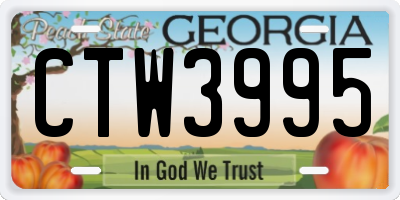 GA license plate CTW3995