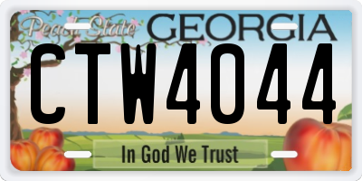 GA license plate CTW4044