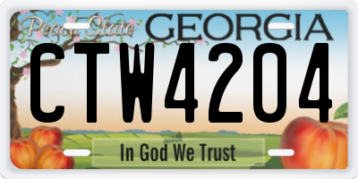 GA license plate CTW4204