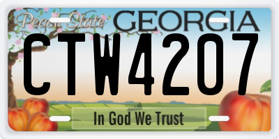 GA license plate CTW4207
