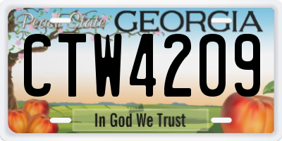 GA license plate CTW4209