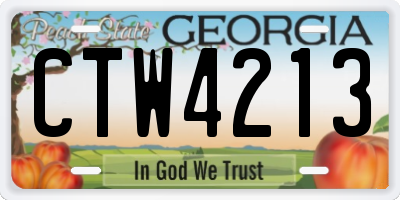 GA license plate CTW4213
