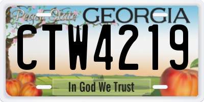 GA license plate CTW4219