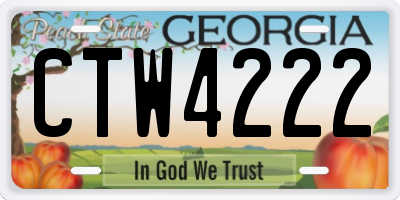 GA license plate CTW4222
