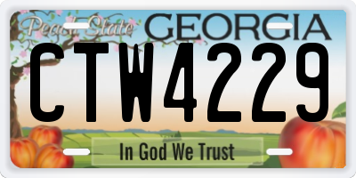 GA license plate CTW4229