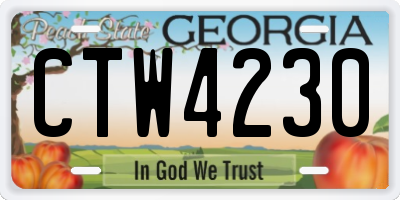 GA license plate CTW4230