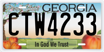 GA license plate CTW4233