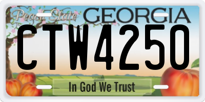 GA license plate CTW4250