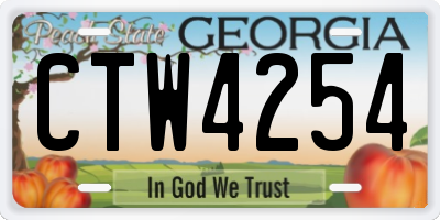 GA license plate CTW4254