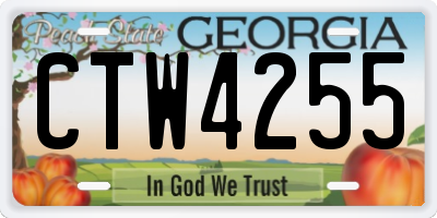 GA license plate CTW4255