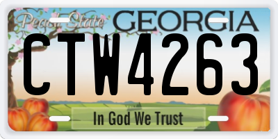 GA license plate CTW4263