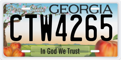 GA license plate CTW4265