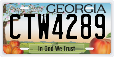 GA license plate CTW4289