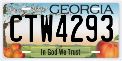 GA license plate CTW4293