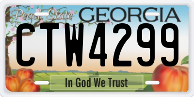 GA license plate CTW4299