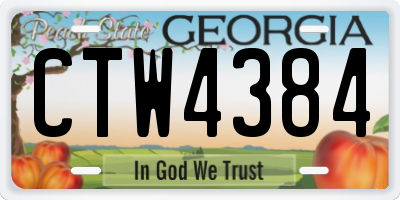 GA license plate CTW4384