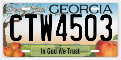GA license plate CTW4503
