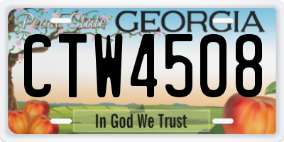 GA license plate CTW4508