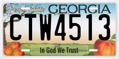 GA license plate CTW4513