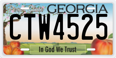 GA license plate CTW4525