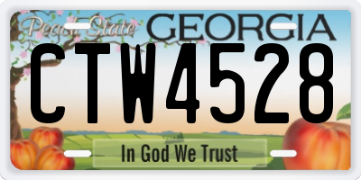 GA license plate CTW4528