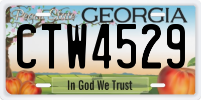 GA license plate CTW4529