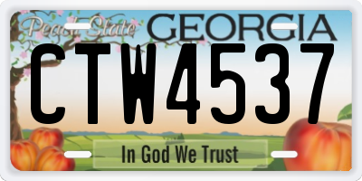 GA license plate CTW4537