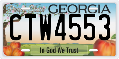 GA license plate CTW4553