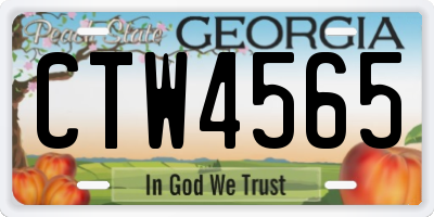 GA license plate CTW4565