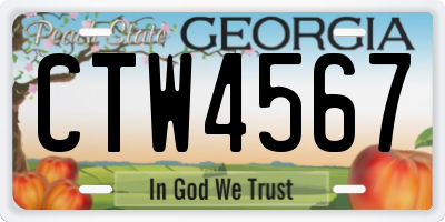 GA license plate CTW4567