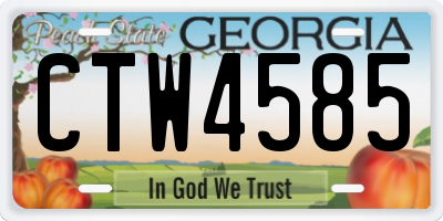 GA license plate CTW4585