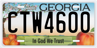 GA license plate CTW4600
