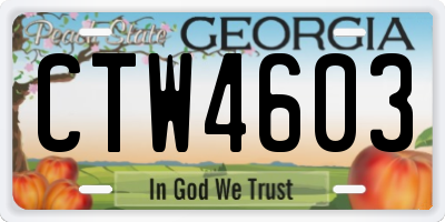 GA license plate CTW4603