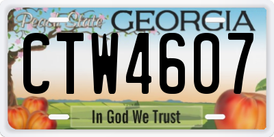 GA license plate CTW4607