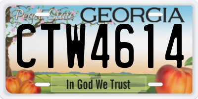 GA license plate CTW4614