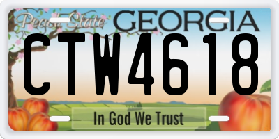GA license plate CTW4618