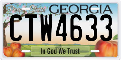 GA license plate CTW4633