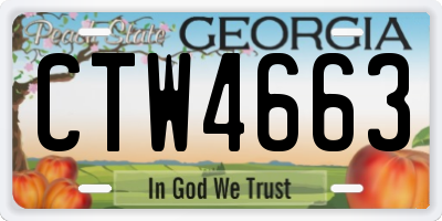 GA license plate CTW4663