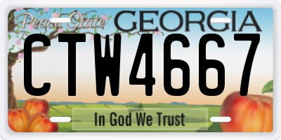 GA license plate CTW4667
