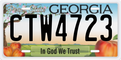 GA license plate CTW4723