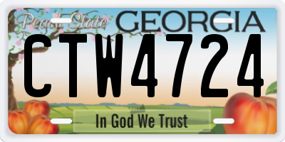 GA license plate CTW4724