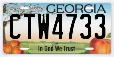 GA license plate CTW4733