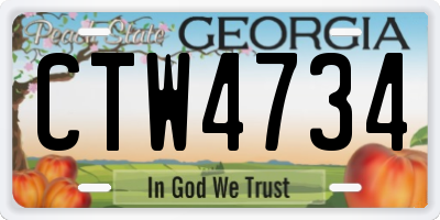 GA license plate CTW4734