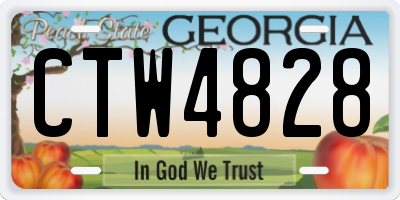 GA license plate CTW4828