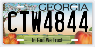 GA license plate CTW4844