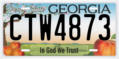 GA license plate CTW4873